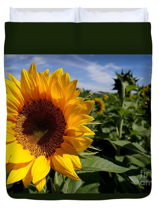 Agriculture Duvet Cover featuring the photograph Sunflower Glow by Kerri Mortenson