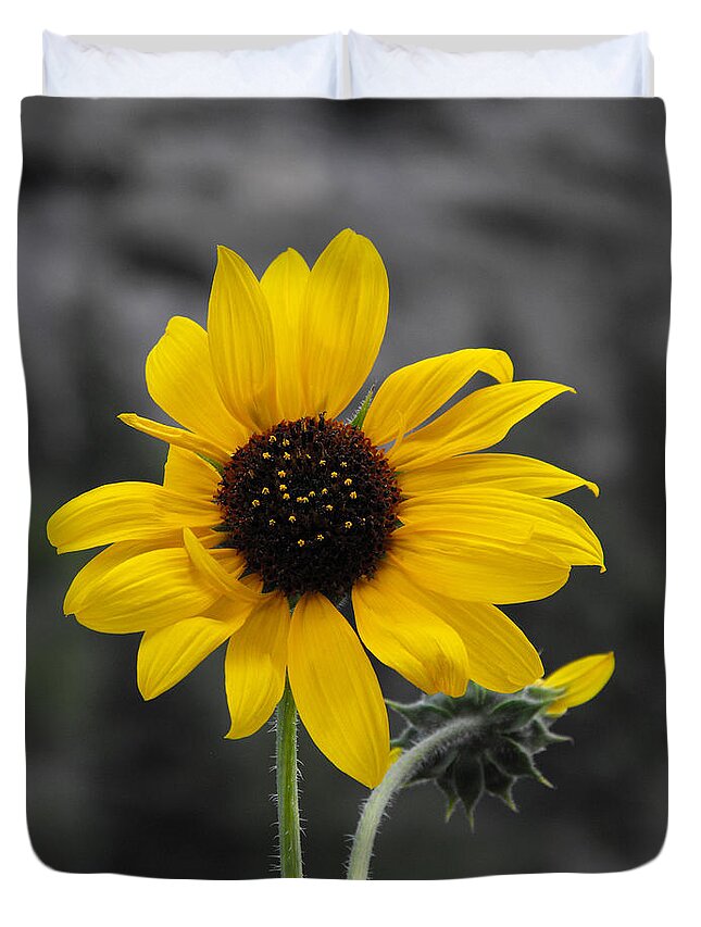 Sunflower Duvet Cover featuring the photograph Sunflower on gray by Rebecca Margraf