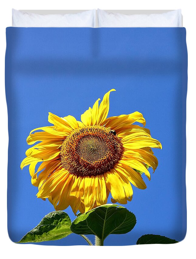 Yellow Duvet Cover featuring the photograph Sunflower by Robert McCulloch
