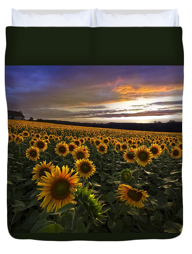 Austria Duvet Cover featuring the photograph Sunflower Sunset by Debra and Dave Vanderlaan