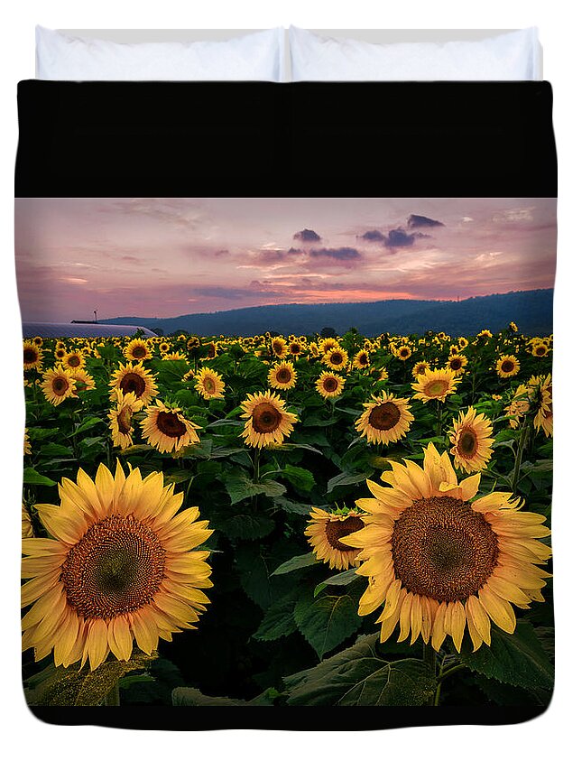 Sunflower Duvet Cover featuring the photograph Sunflower Sunset II by Mark Rogers