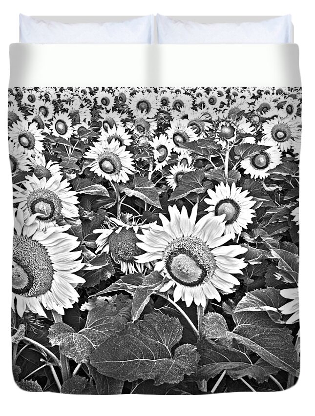 Sunflower Duvet Cover featuring the photograph Sunflowers by Elena Nosyreva