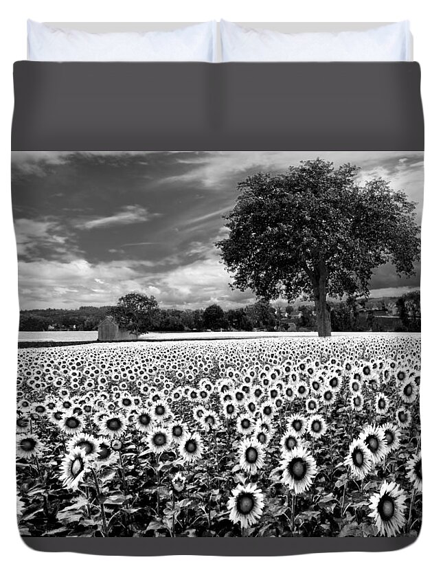 American Duvet Cover featuring the photograph Sunflowers in Black and White by Debra and Dave Vanderlaan