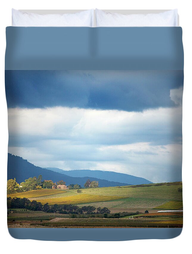 Scenics Duvet Cover featuring the photograph Sunlight Falling On Winery Vineyards by Virginia Star