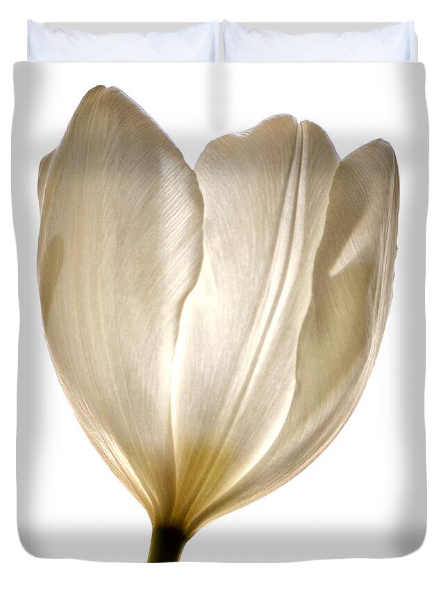 White Tulip Duvet Cover featuring the photograph Sunlight White by Deb Halloran