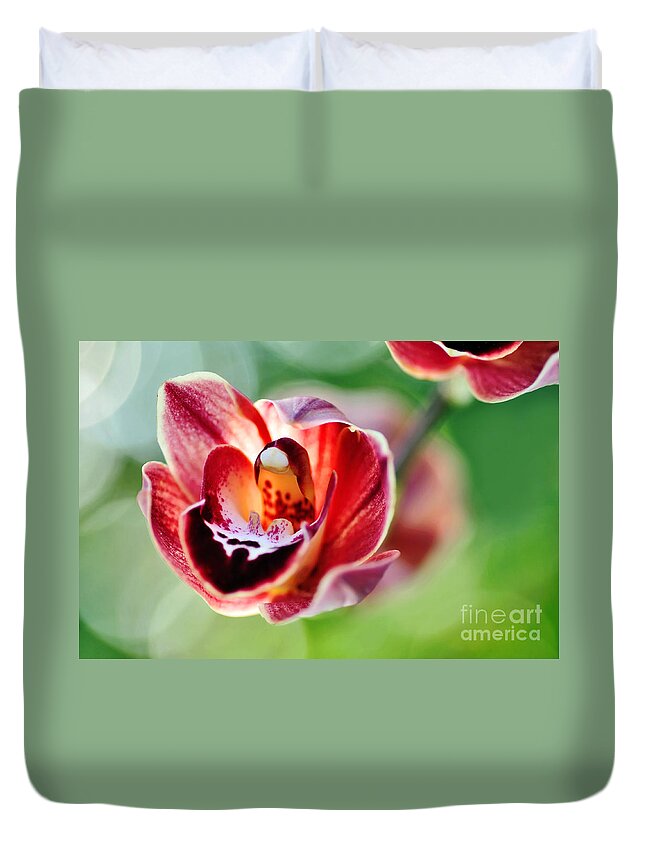 Photography Duvet Cover featuring the photograph Sunlit Miniature Orchid by Kaye Menner