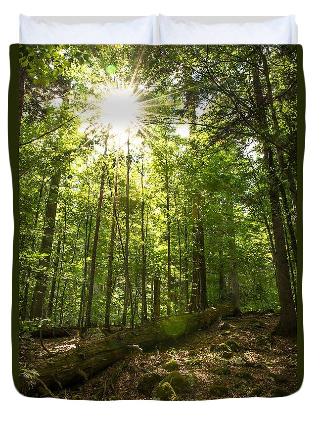 Forest Duvet Cover featuring the photograph Sunlit Primeval Forest by Andreas Berthold