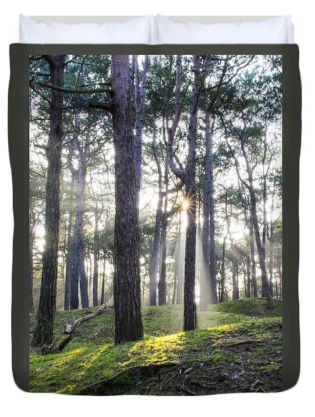 Trees Duvet Cover featuring the photograph Sunlit Trees by Spikey Mouse Photography