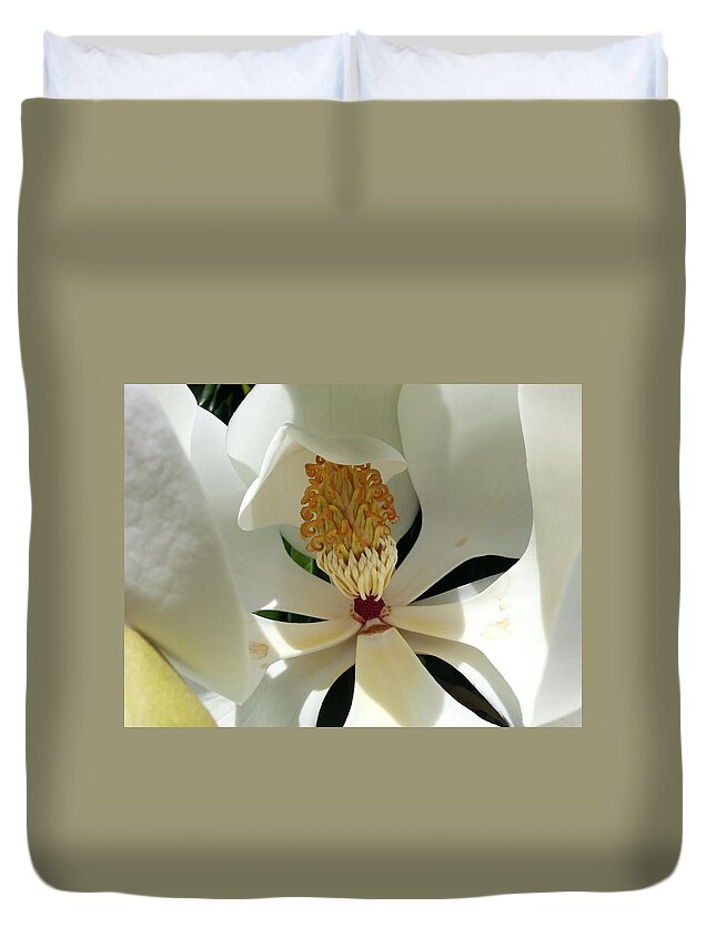 Magnolia Duvet Cover featuring the photograph Sunny and Shy Magnolia by Caryl J Bohn