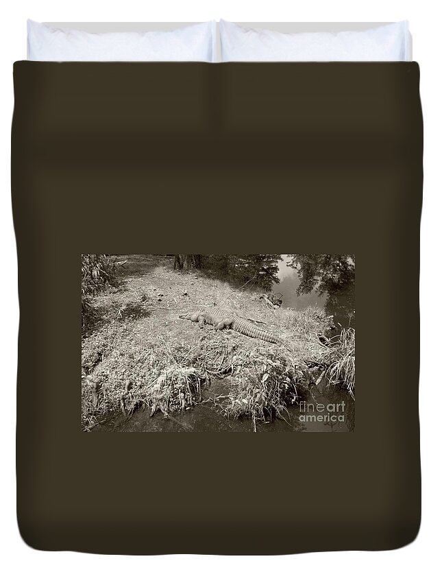 Sunning Duvet Cover featuring the photograph Sunny Gator Sepia by Joseph Baril