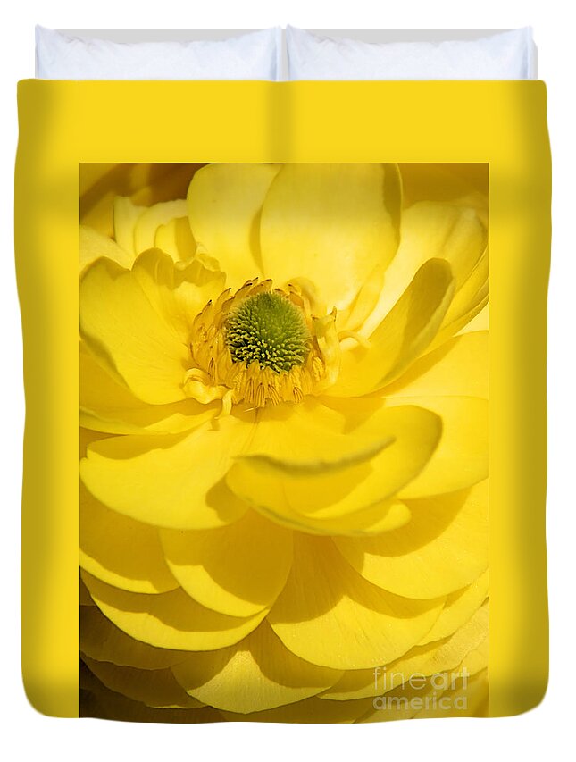 Sunny Duvet Cover featuring the photograph Sunny Yellow Ranunculus Flower by Sharon Woerner