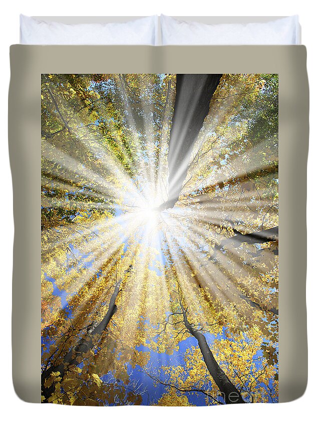 Autumn Duvet Cover featuring the photograph Sunrays in the forest by Elena Elisseeva