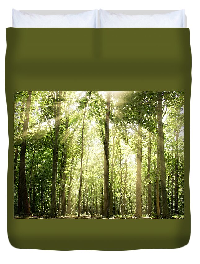 Tranquility Duvet Cover featuring the photograph Sunrays Through Treetops by Melissa Fague