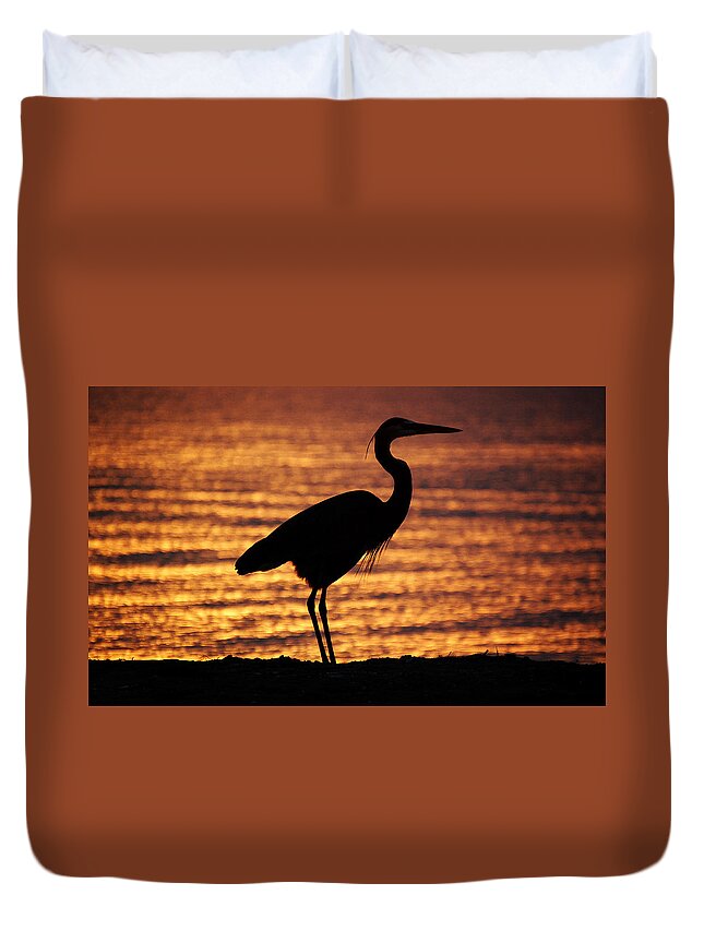 Sunrise Duvet Cover featuring the photograph Sunrise Heron by Leticia Latocki