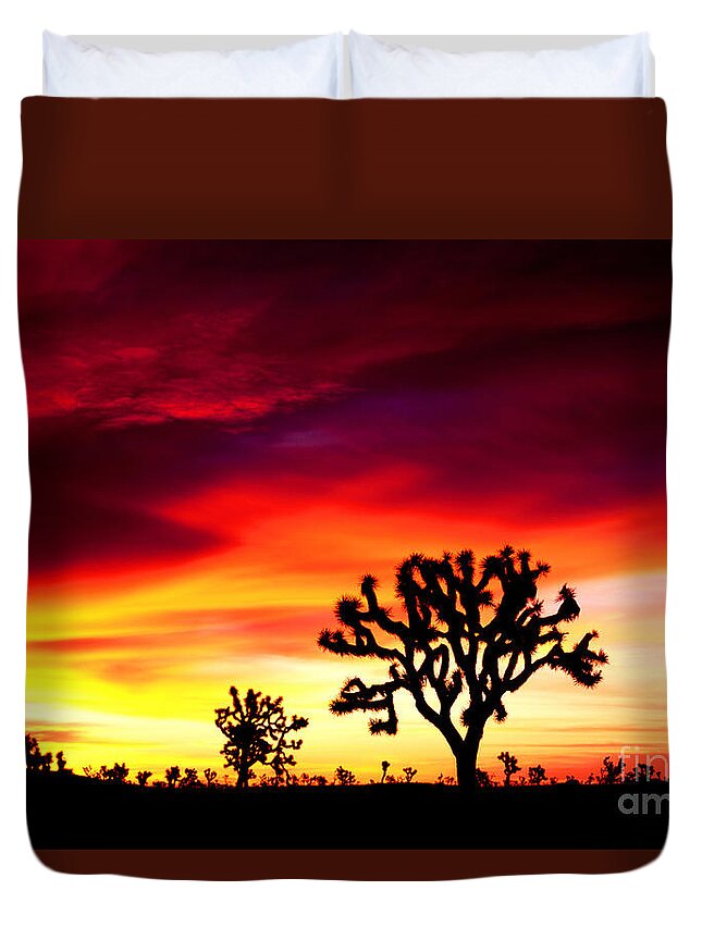 Landscape Duvet Cover featuring the photograph Sunrise in Joshua Tree Nat'l Park by Benedict Heekwan Yang