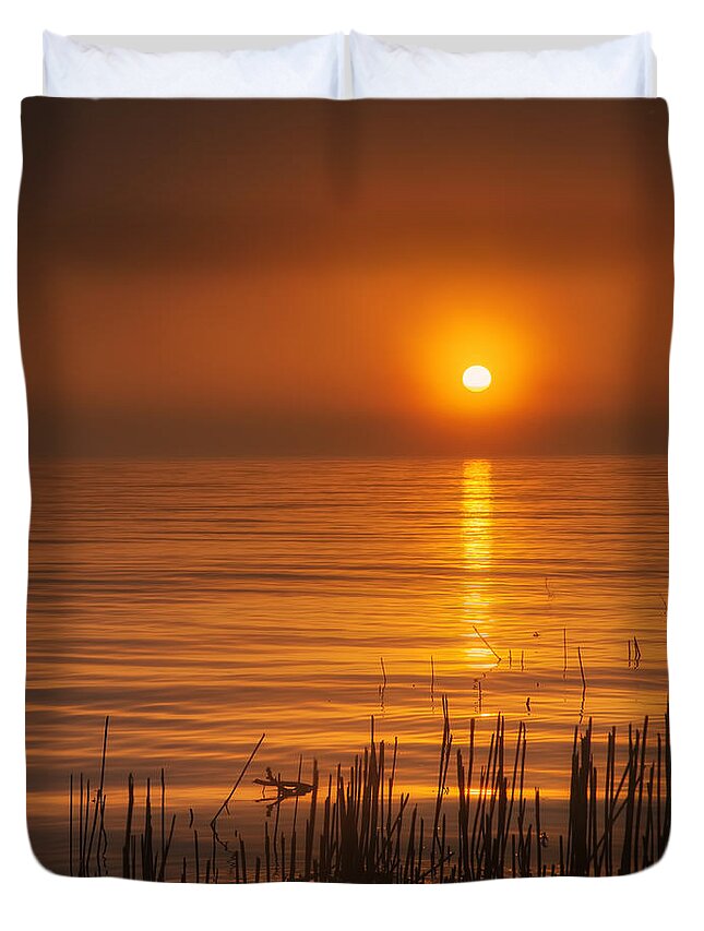 Gold Duvet Cover featuring the photograph Sunrise Through the Fog by Scott Norris