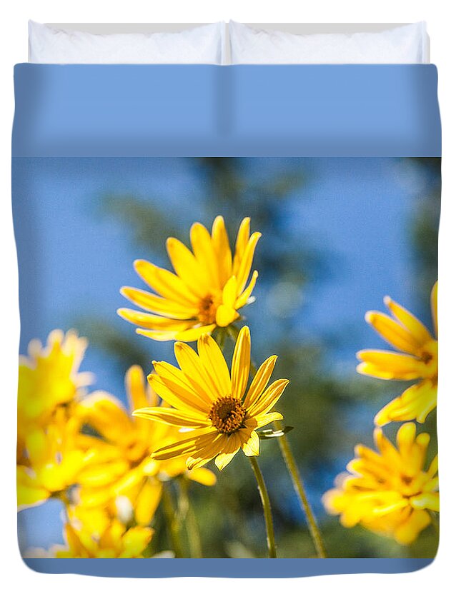 Flowers Duvet Cover featuring the photograph Sunshine by Chad Dutson