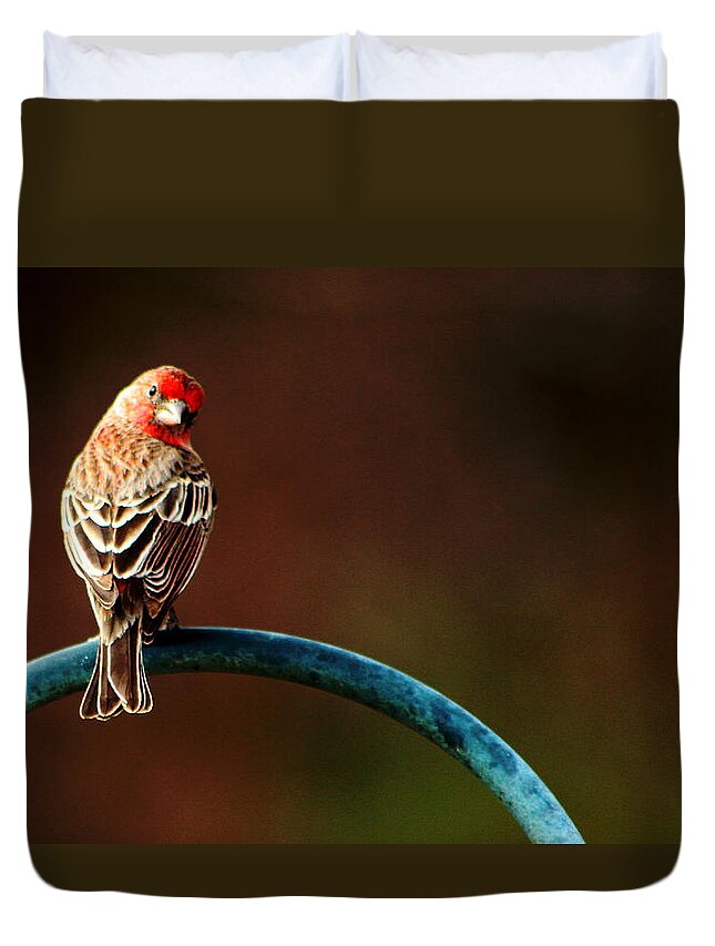 Surreal Duvet Cover featuring the photograph Surreal Purple Finch by David Yocum
