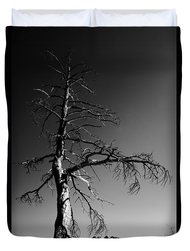 Survival Tree Duvet Cover featuring the photograph Survival Tree by Chad Dutson