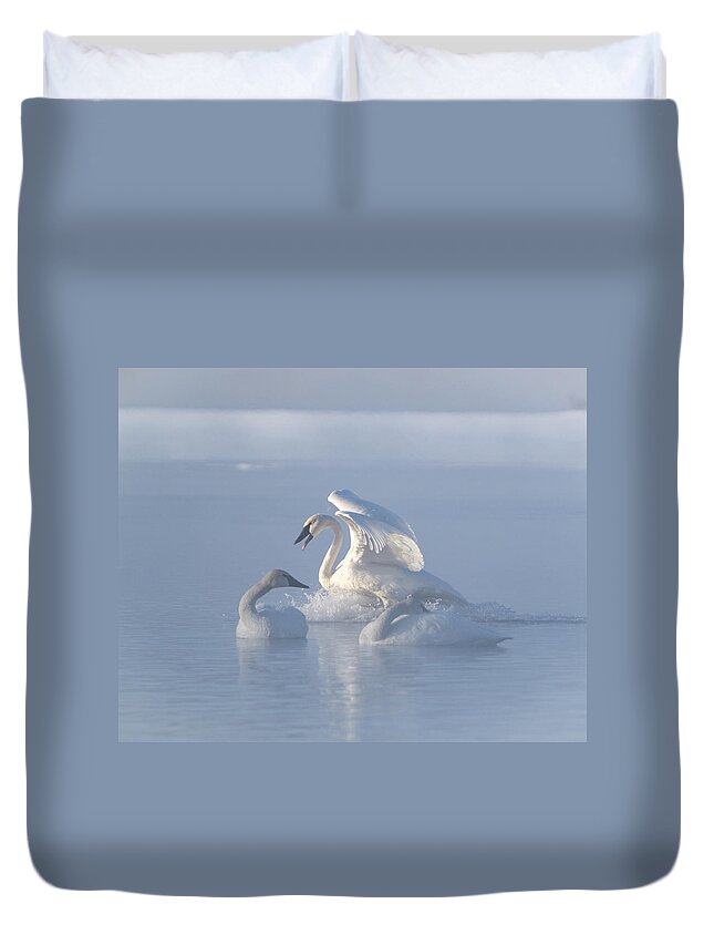 Swan Duvet Cover featuring the photograph Trumpeter Swans - Three's Company by Patti Deters