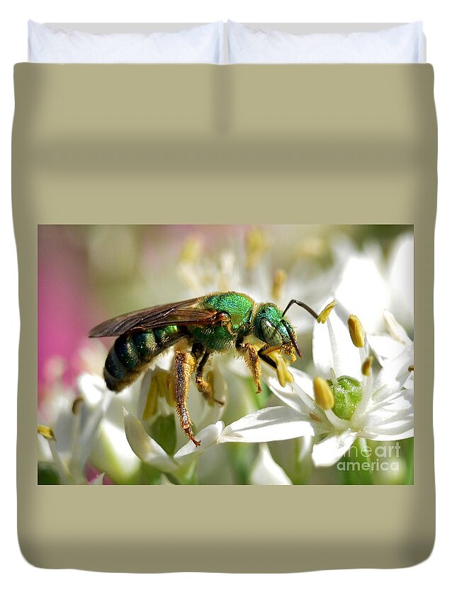 Insects Duvet Cover featuring the photograph Sweat Bee by Kathy Baccari