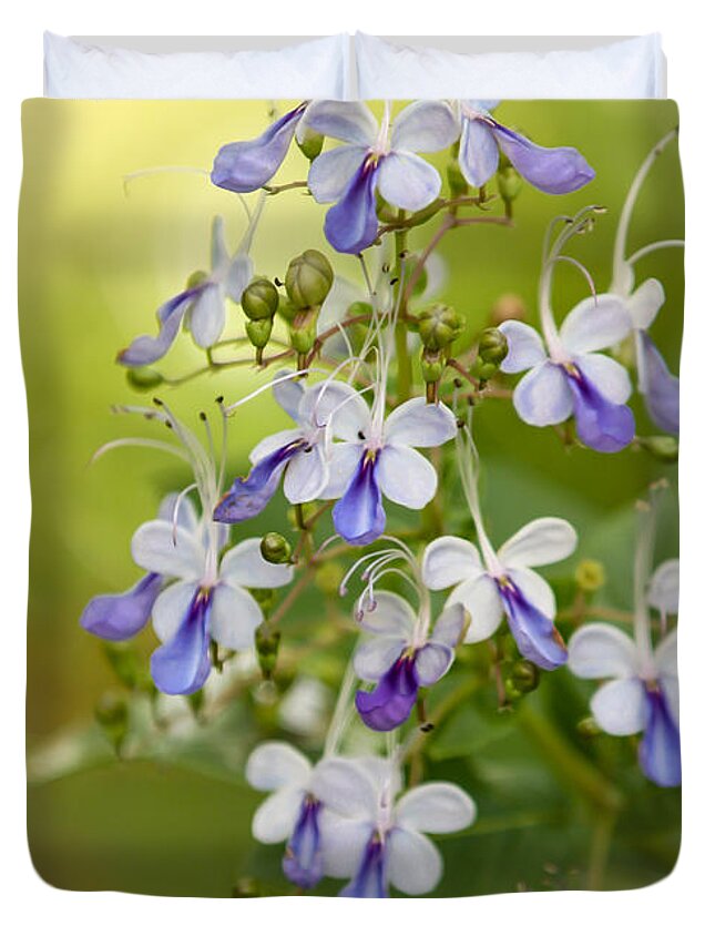 Amazing Duvet Cover featuring the photograph Sweet Butterfly Flowers by Sabrina L Ryan