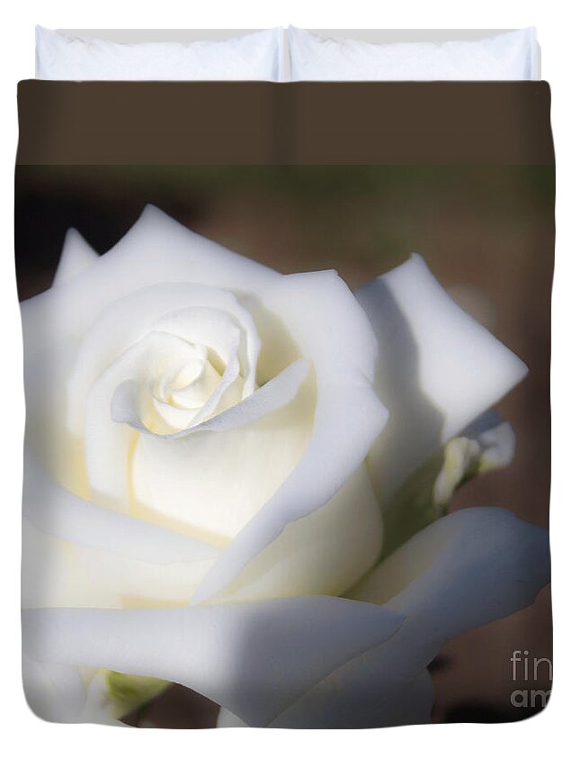 Rose Duvet Cover featuring the photograph Sweet Dreams by Arlene Carmel