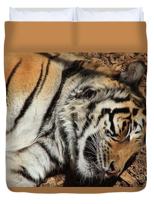 Tiger Duvet Cover featuring the photograph Sweet Dreams by Fiona Kennard