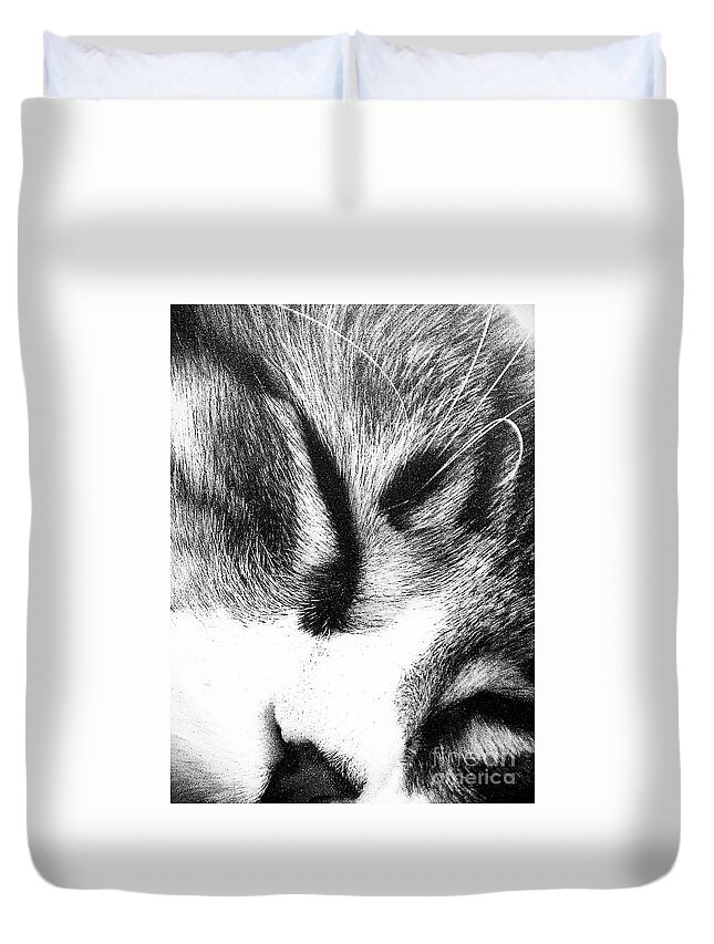 Maine Coon Duvet Cover featuring the photograph Sweet Dreams by Jacqueline McReynolds