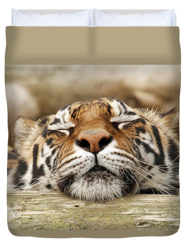 Tiger Duvet Cover featuring the photograph Sweet Dreams by Steve McKinzie