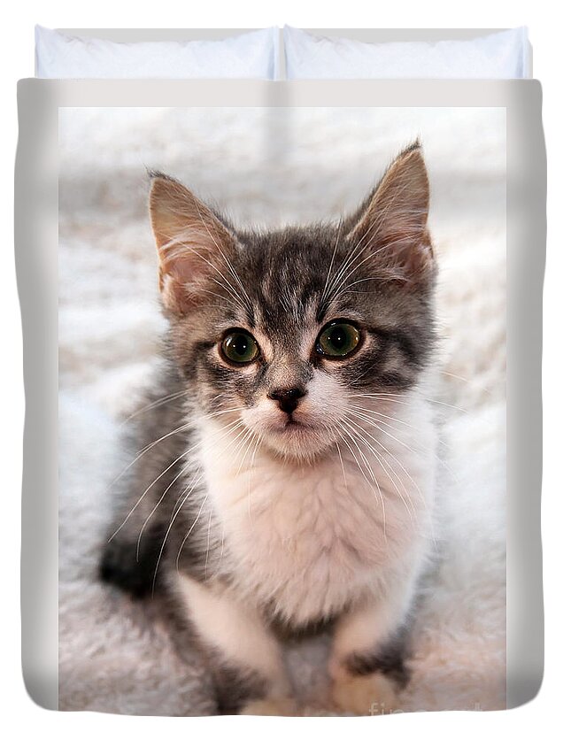 Animal Duvet Cover featuring the photograph Sweet Face by Teresa Zieba