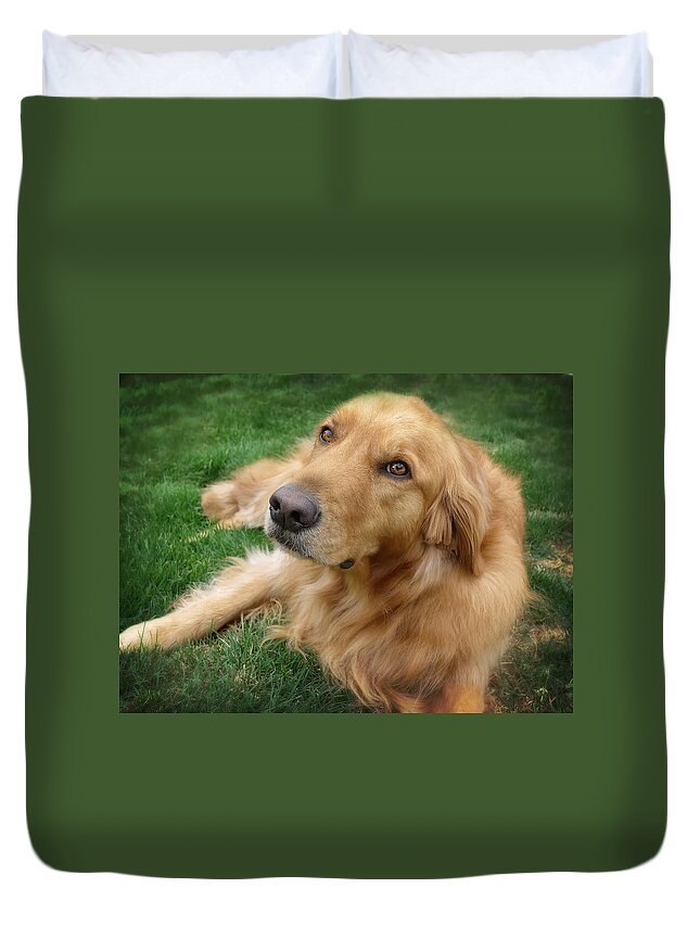 Dog Duvet Cover featuring the photograph Sweet Golden Retriever by Larry Marshall
