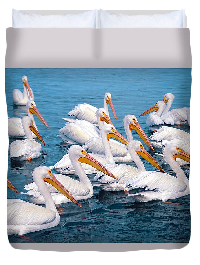 White Pelicans Duvet Cover featuring the photograph Swimming Party by Maria Nesbit