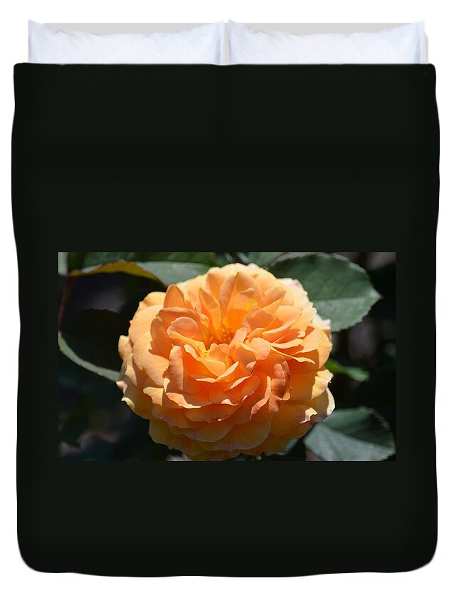 Swirling Peach Rose Duvet Cover featuring the photograph Swirling Peach Rose by Maria Urso