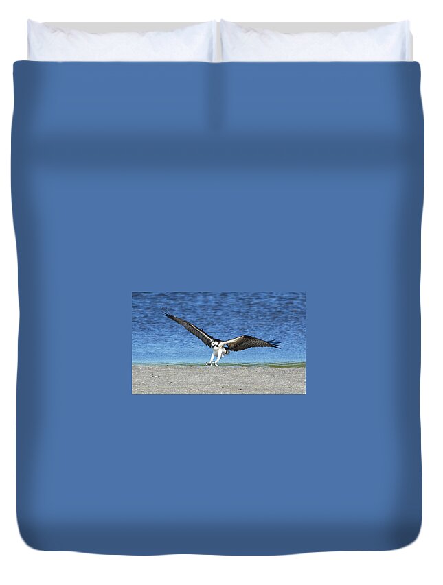 Wildlife Duvet Cover featuring the photograph Swooping Osprey by Kenneth Albin