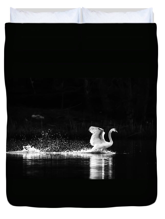 Swans Duvet Cover featuring the photograph Take Off by Rose-Maries Pictures