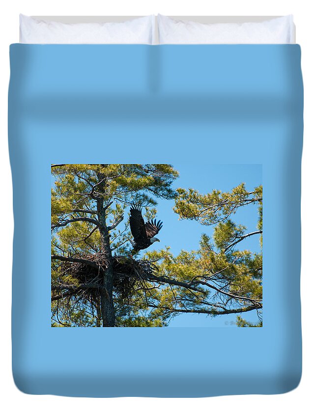 Bald Eagle Duvet Cover featuring the photograph Taking Flight by Brenda Jacobs