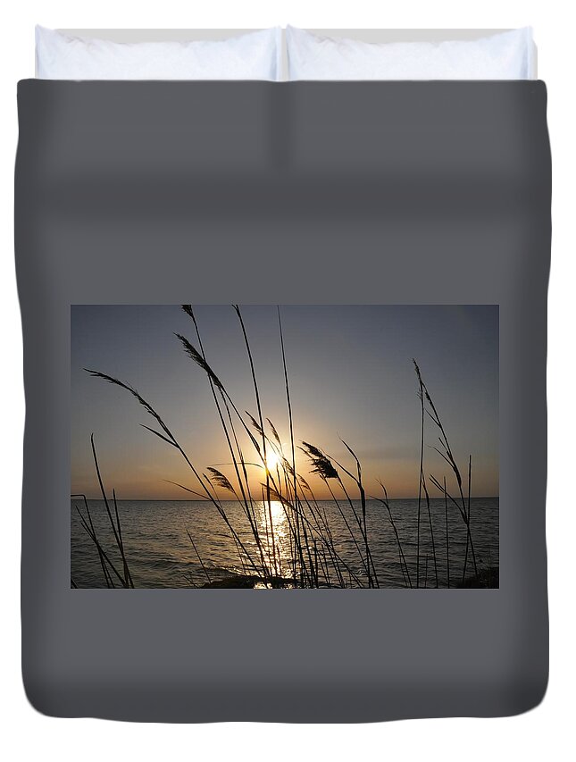 Sunset Duvet Cover featuring the photograph Tall Grass Sunset by Bill Cannon