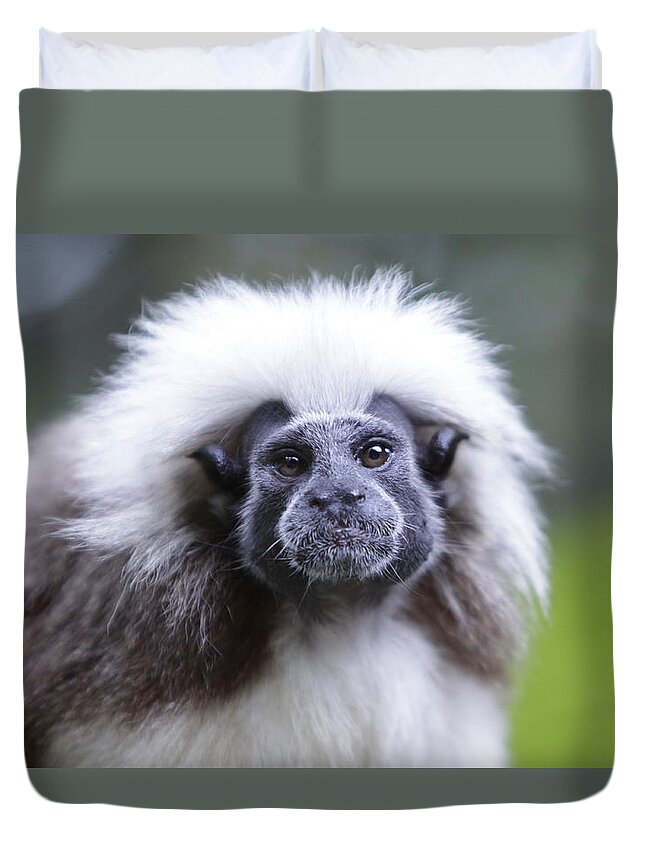 Cotton Top Tamarin Duvet Cover featuring the photograph Tamarins Face by Shoal Hollingsworth