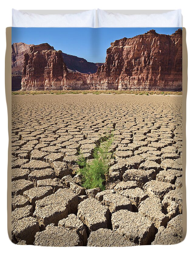 00559227 Duvet Cover featuring the photograph Tamarisk In Dry Colorado River by Yva Momatiuk John Eastcott