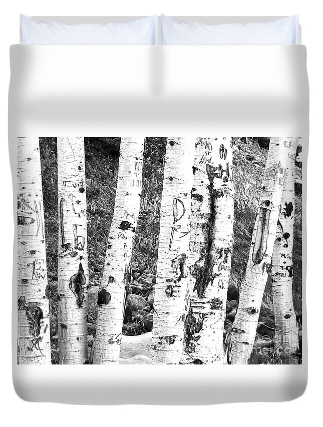Birch Tree Duvet Cover featuring the photograph Tattoo Trees by Rebecca Margraf
