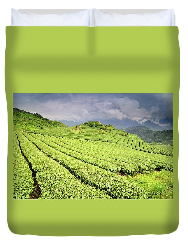 Taiwan Duvet Cover featuring the photograph Tea Plantation by Joyoyo Chen