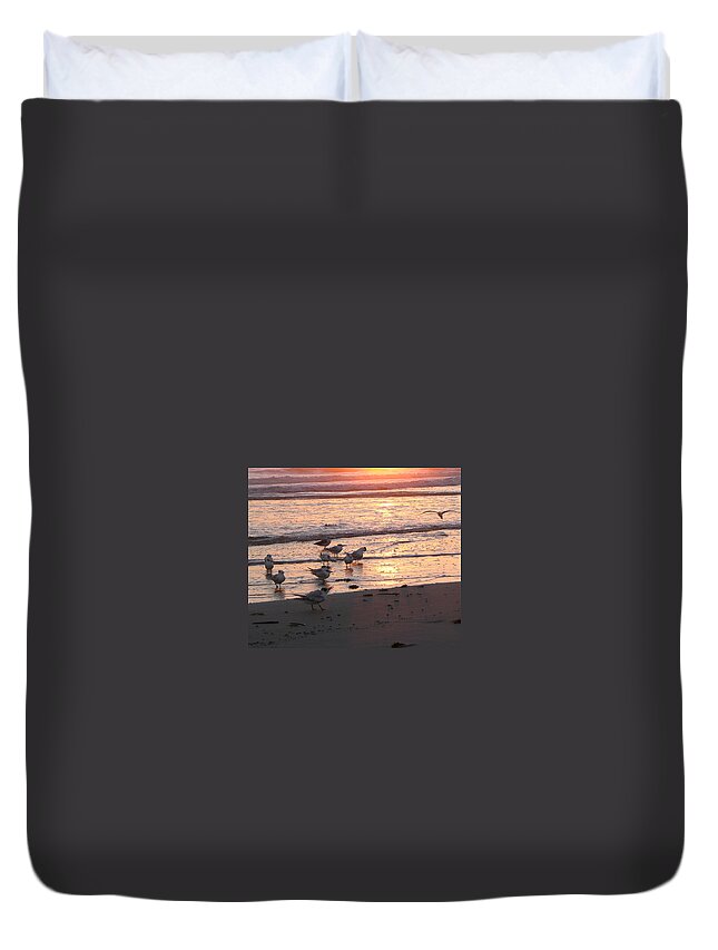 Beach Prints Duvet Cover featuring the photograph Terns At Sunrise 10-12-14 Julianne Felton by Julianne Felton