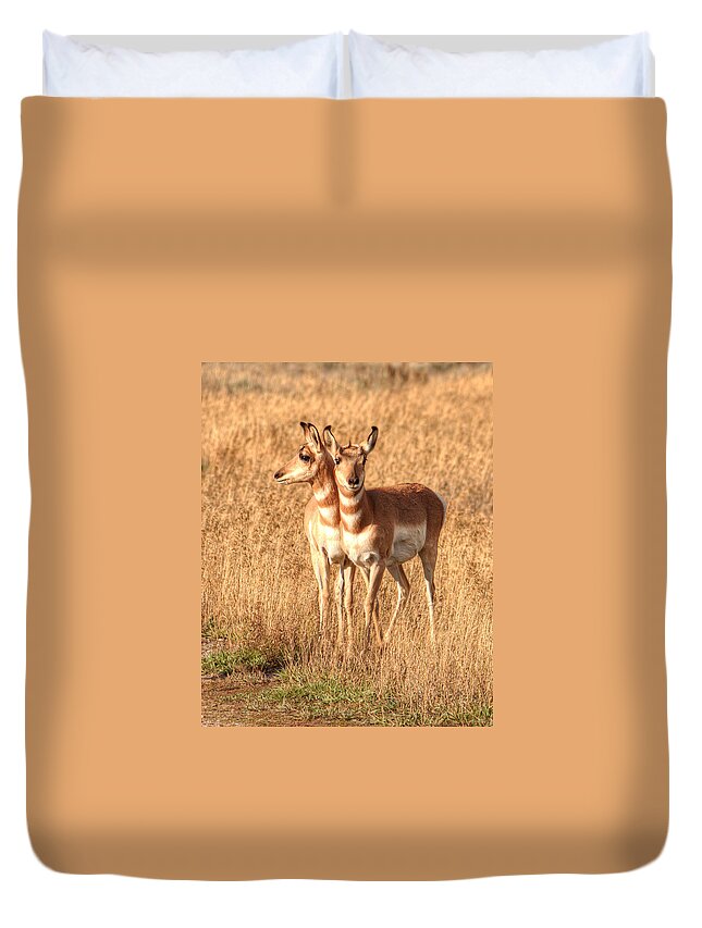 Antelope Duvet Cover featuring the photograph Teton Twins 0067 by Kristina Rinell