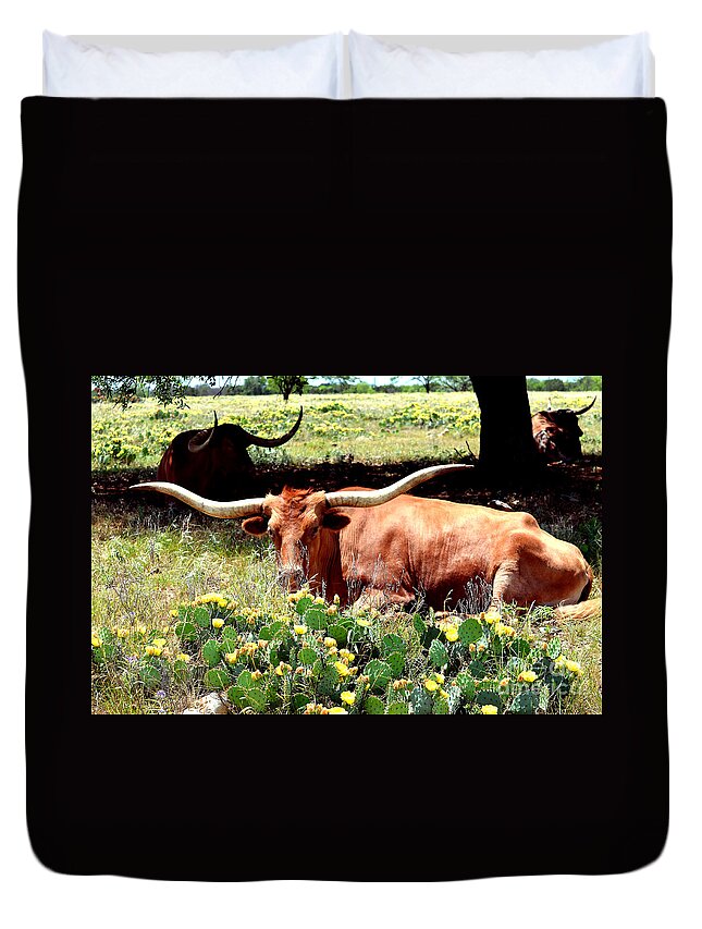Linda Cox Duvet Cover featuring the photograph Texas Longhorns 2 by Linda Cox
