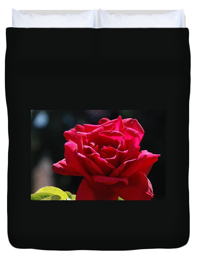 Rose Duvet Cover featuring the photograph That Which We Call A Rose by Eric Tressler