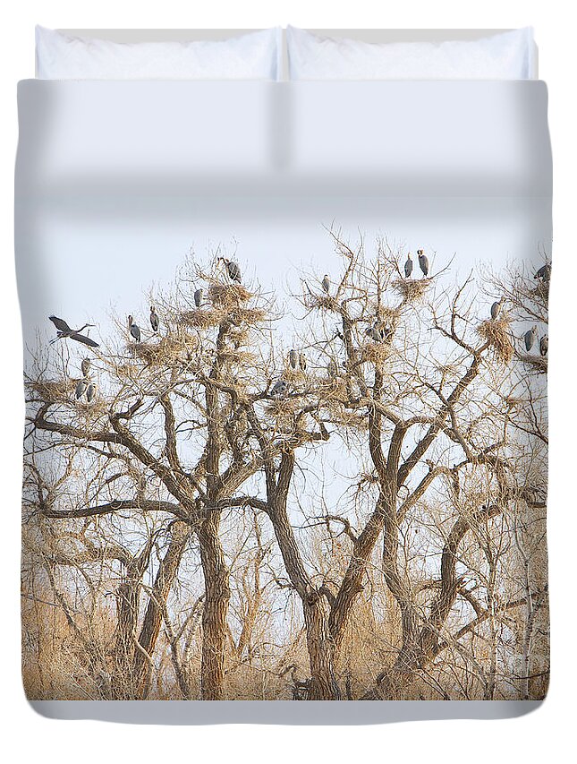 Blue Heron Duvet Cover featuring the photograph Thats A Lot Of Heron by James BO Insogna