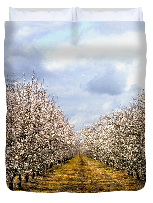 Almonds Duvet Cover featuring the photograph The Almond Orchard by Matthew Pace