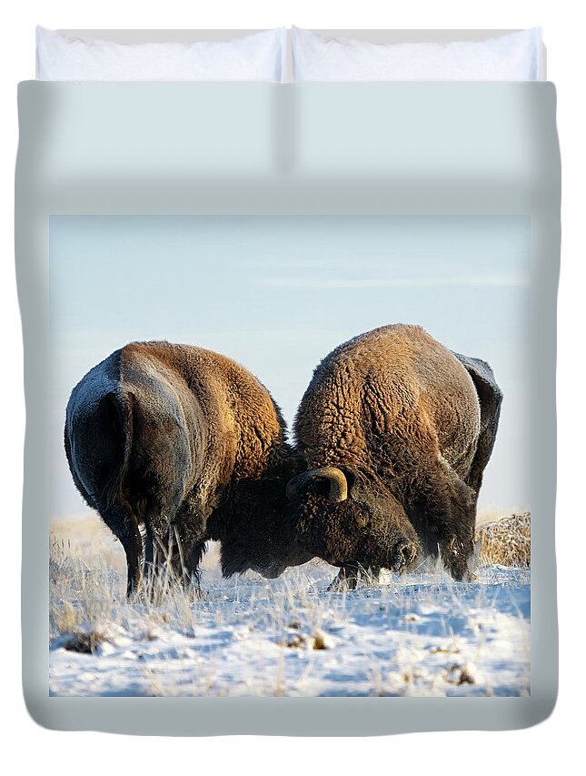 African Buffalo Duvet Cover featuring the photograph The Battle by Ojeffrey Photography