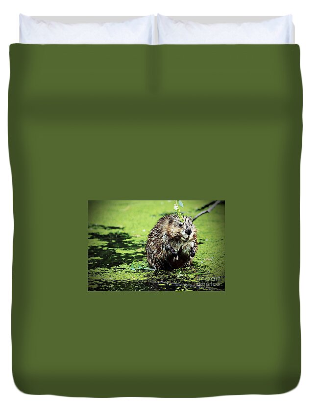 Beaver Duvet Cover featuring the photograph The beaver with the attitude by Elizabeth Winter